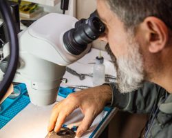 iPhone repair service Peking street 22 Tbilisi